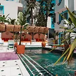 Casa De Nova