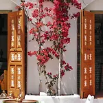 Casa De Nova * グムベット
