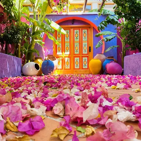 Casa De Nova Hotel *