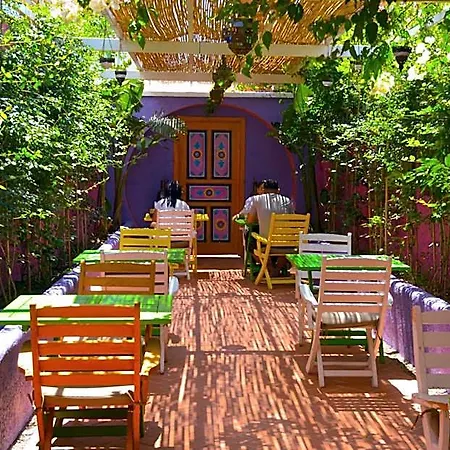 Отель Casa De Nova Гумбет